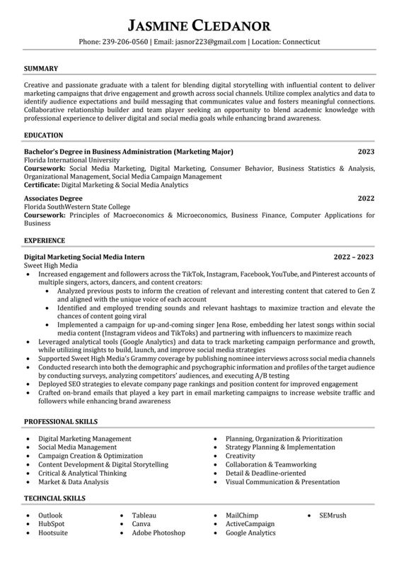 Pro Resume CV Template2